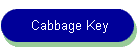 Cabbage Key